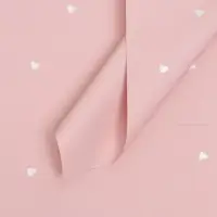 Плёнка в листах для цветов и декора, 58&times;58&plusmn;5% см, &laquo;Сердечки&raquo;, нежно - персиковая, 65 мкм