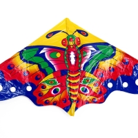 Воздушный змей &laquo;Цветная бабочка&raquo;, с леской