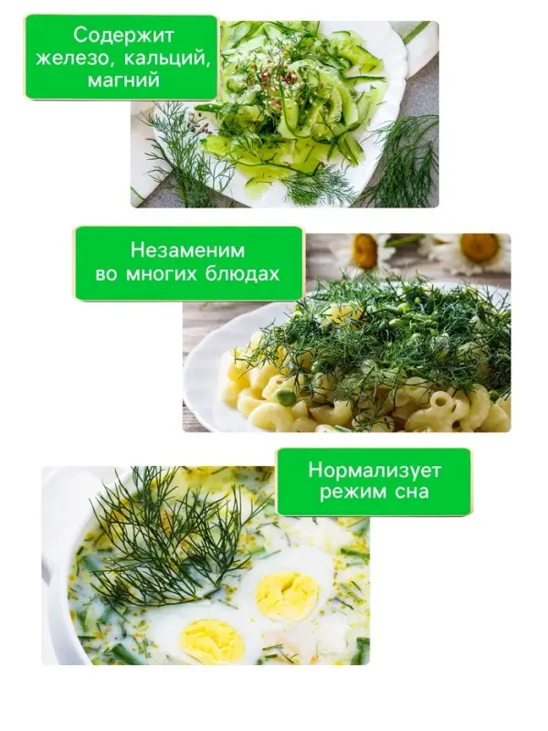 Семена Укроп &laquo;Супердукат ОЕ&raquo;, 2 г