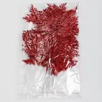 Декоративная веточка &laquo;Изумление&raquo; в красном цвете, 0,3 &times; 12 &times; 28 см