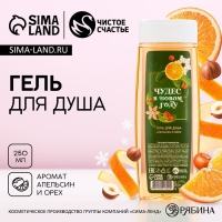 Гель для душа &laquo;Чудес в Новом Году!&raquo;, 250 мл, аромат апельсина и орехов, ЧИСТОЕ СЧАСТЬЕ