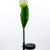 Штекер с подсветкой "Тюльпан" белый, 8х70см