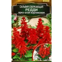 Семена цветов Сальвия Редди ярко-алая карликовая  С. Hem Genetics Золотая серия, Ц/П,7 шт.