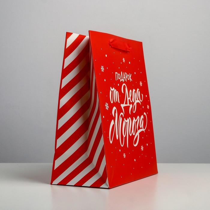 Пакет подарочный новогодний ламинированный &laquo;Подарок от Деда Мороза&raquo;, ML 23 х 27 х 11,5 см, Новый год