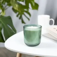 Ароматическая свеча Vitral, дубовый мох и пачули, зеленая