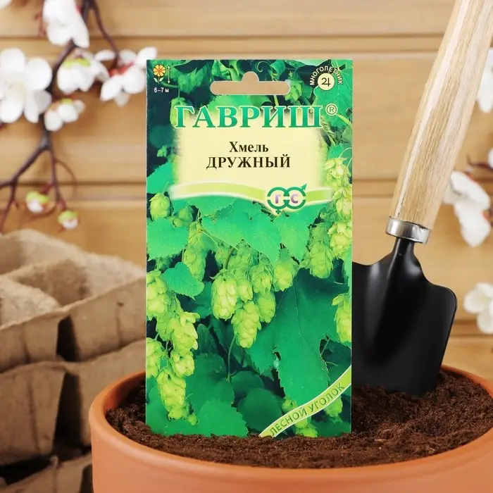 Семена цветов Хмель "Дружный", ц/п,  0,1 г