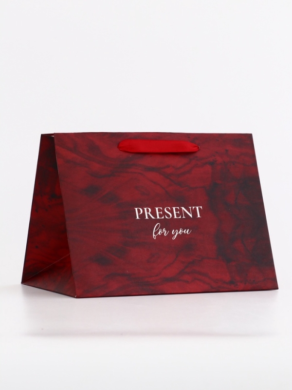 Пакет подарочный с широким дном,"Present", 25 &times; 19 &times; 18 см