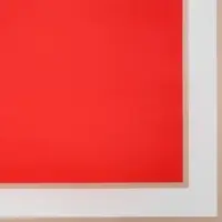 Пленка флористическая, красная, 58&times;58 см, 50 мкм