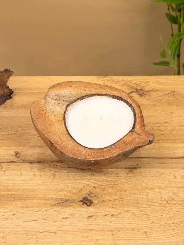 Свеча в кокосе, 18&times;22&times;7 см, коричневая