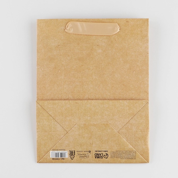 Пакет подарочный ламинированный, упаковка, &laquo;Крафтовый&raquo;, MS 18 х 23 х 10 см