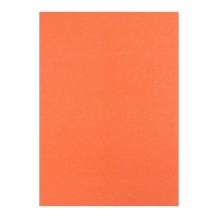 Бумага цветная бархатная А5, 10 листов, 10 цветов Мульти-Пульти, в папке