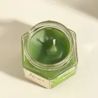 Свеча ароматическая в банке 70 гр воска, алое