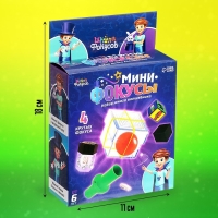 Набор &laquo;Мини фокусы&raquo;, 4 фокуса