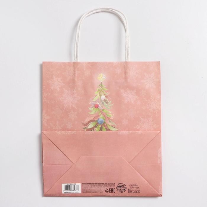 Пакет подарочный новогодний крафтовый &laquo;Новогодние сны&raquo;, 22 х 25 х 12 см, Новый год