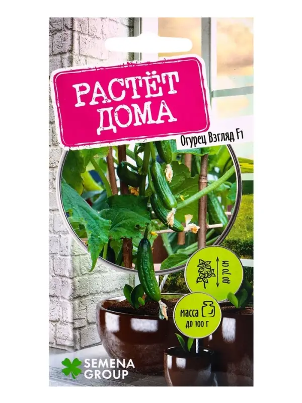 Семена "Растёт дома!" Огурец Взгляд, F1  5 шт.