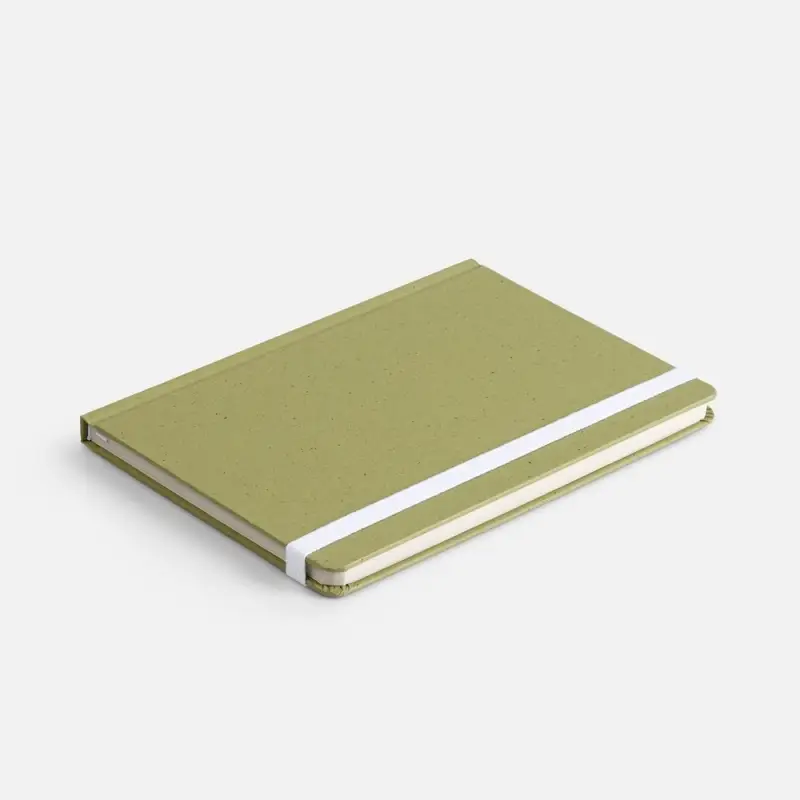 Блокнот Lactonica, зеленый