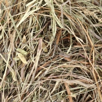 Сено луговое с клевером &laquo;Пижон&raquo; для грызунов, 20 л, 500 г