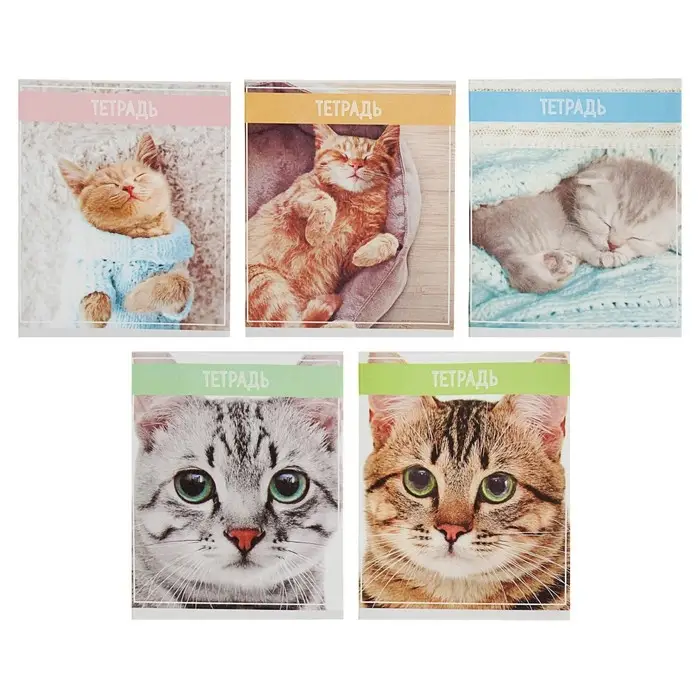 Тетрадь 36 листов в клетку, Calligrata &laquo;Кошки&raquo;, обложка мелованная бумага, серые листы, МИКС