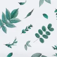 Бумага упаковочная глянцевая &laquo;Листочки&raquo;, 70 х 100 см