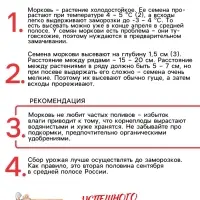 Семена Морковь "Лосиноостровская 13", 2 г