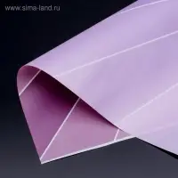 Пленка для цветов, сирень "Линии" 57&times;57 см