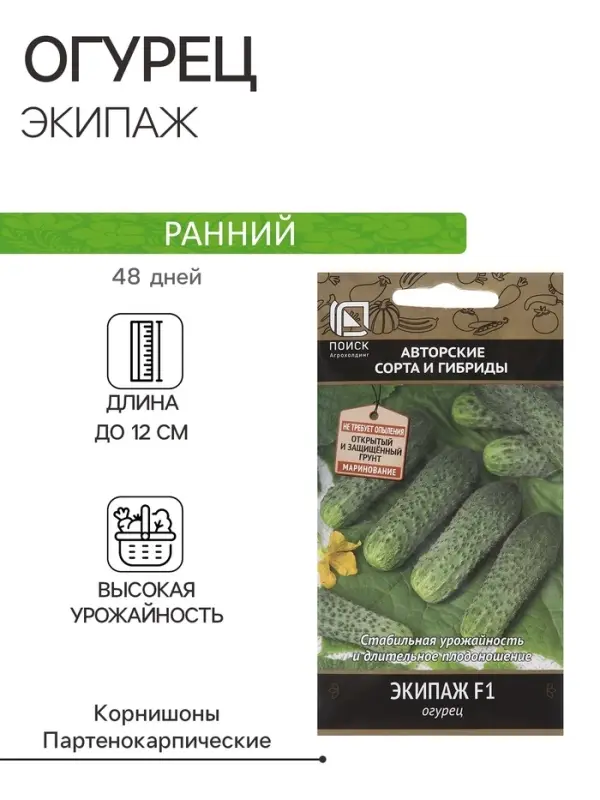 Семена Огурец "Экипаж", F1, 12 шт
