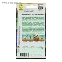 Семена цветов Виола "Кан Кан", F1, сапфировая, Дв, 7 шт.