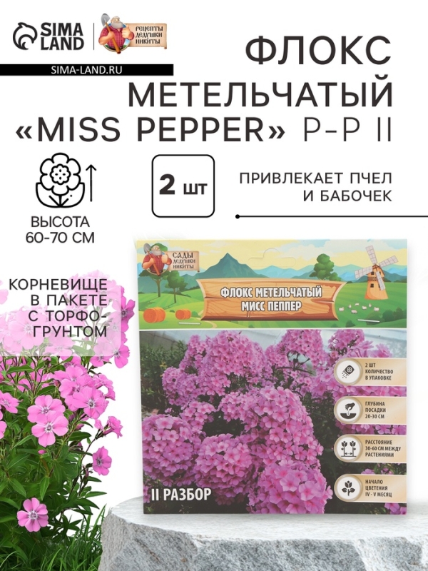 Флокс метельчтый Miss pepper корневище в пакете с торфогрунтом, р-р II, 2 шт.