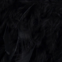Тесьма с перьями индюка, 13-17 см, 5 &plusmn; 0,5 м, цвет чёрный