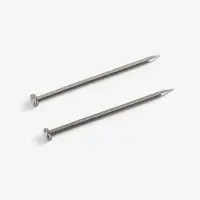 Булавки портновские &laquo;Гвоздик&raquo;, 1.6 см, 500 шт., цвет серебряный