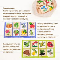 Лото &laquo;Растительный мир&raquo;