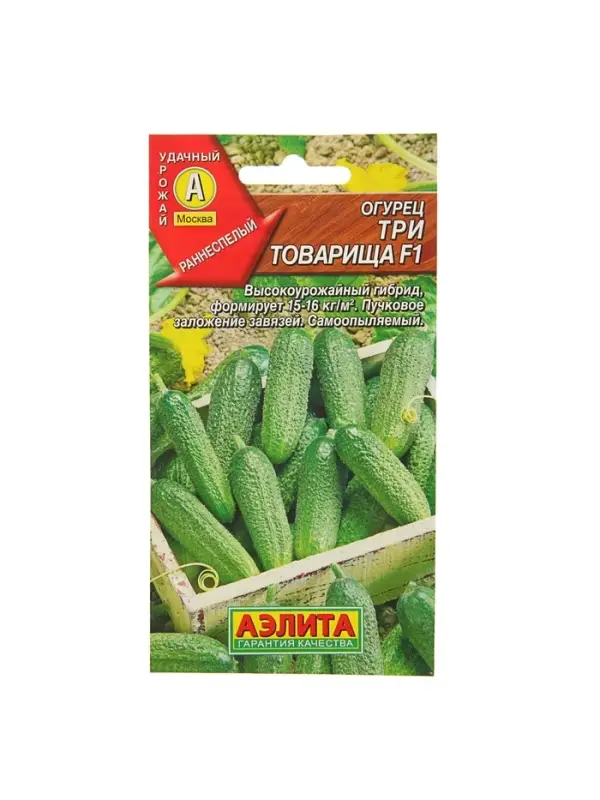 Семена Огурец "Три товарища" F1, раннеспелый, партенокарпический, 10 шт.