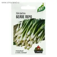 Семена Лук на зелень "Белое перо", ц/п,  0,5 г  серия ХИТ х3