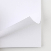 Скетчбук А5, 40 л 100 г/м2 &laquo;Котозарисовки&raquo;