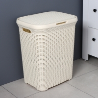 Корзина бельевая с крышкой, 60 л, 34&times;44&times;56 см, цвет слоновая кость
