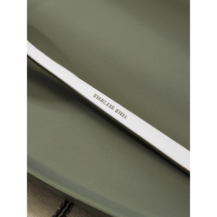 Ложка столовая из нержавеющей стали &laquo;Тайфун&raquo;, длина 19 см, цвет серебряный