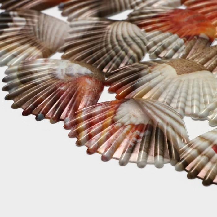 Решётка в раковину круглая Доляна &laquo;Ракушки&raquo;, 28&times;28 см