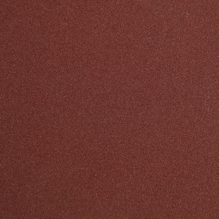 Круг абразивный шлифовальный под "липучку" ТУНДРА, 115 мм, Р180, 10 шт.