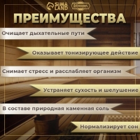 Соляной брикет набор 4 шт  "Эвкалипт, Лимон, Мята, Шалфей"