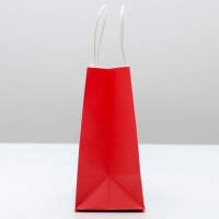 Пакет подарочный новогодний &laquo;Потом передаришь&raquo;, 22 х 22 х 11 см, Новый год