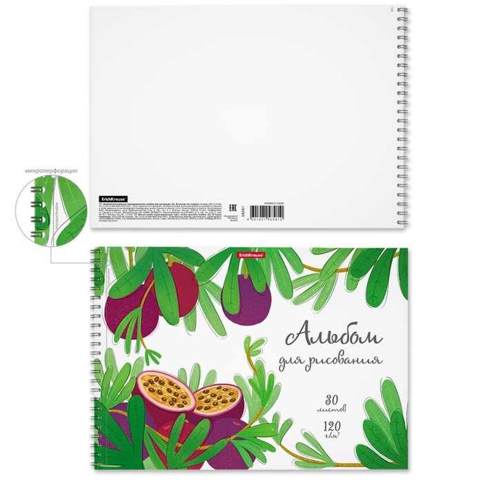Альбом для рисования А4, 30 листов на спирали, ErichKrause Juicy Fruits, блок 120 г/м&sup2;, 100% белизна, перфорация для отрыва, твёрдая подложка