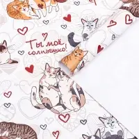 Бумага упаковочная глянцевая &laquo;Ты мое солнышко&raquo;, 60 &times; 90 см,