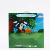 Пакет подарочный &laquo;Мышонок&raquo;, 22 &times; 22 &times; 10 см