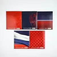 Тетради в клетку, 48 л., набор из 5 шт., блок №1 &laquo;Патриотизм&raquo; матовая ламинация, тиснение