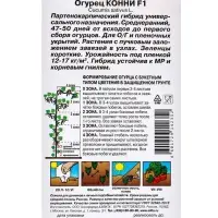 Семена Огурец "Конни" F1, среднеранний, партенокарпический, 10шт