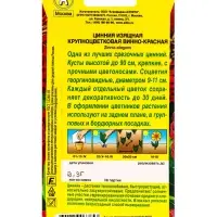 Семена цветов Цинния Крупноцветковая винно-красная , Ц/П,0,3 г