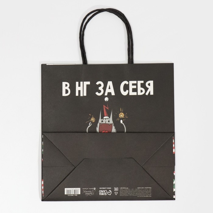 Пакет подарочный новогодний &laquo;Вообще не отвечаю&raquo;, 22 х 22 х 11 см