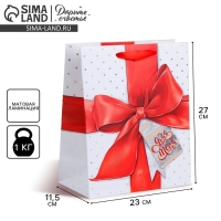 Пакет подарочный ламинированный вертикальный, упаковка, &laquo;Особенному человеку&raquo;, ML 23 х 27 х 11.5 см