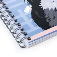 Компл тетр из 3шт 96л кл на гребне Аниме Девочка с котом, обл мел карт, офсет (10296906)