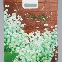 Пакет "Ландыш, полиэтиленовый с вырубной ручкой 38х47 см, 60 мкм